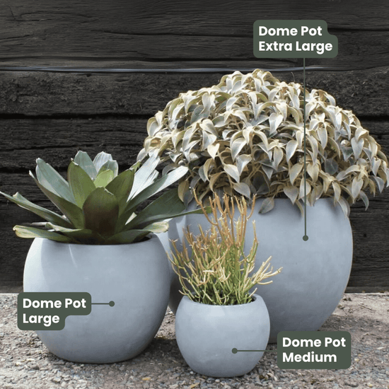 Lightweight Dome Pot | Grey | Evergreen Walls