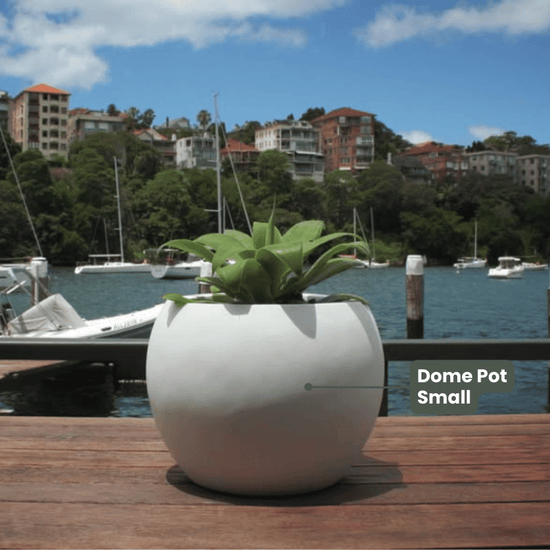 Lightweight Dome Pot | Grey | Evergreen Walls