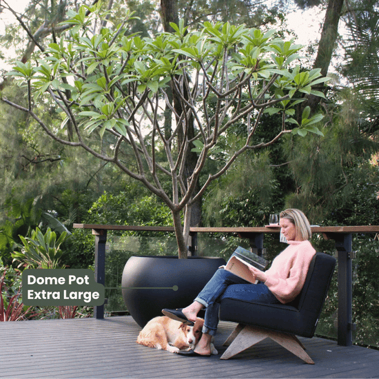 Lightweight Dome Pot | Black | Evergreen Walls