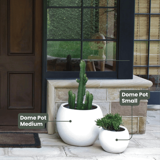 Lightweight Dome Pot | White | Evergreen Walls