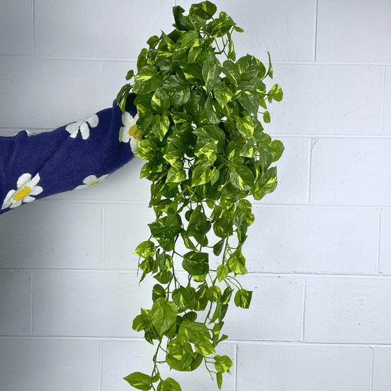 Artificial Pothos Hanging Bush | Evergreen Walls