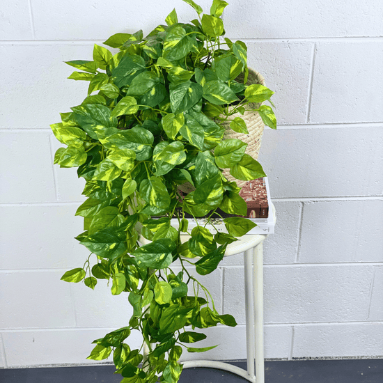 Artificial Pothos Hanging Bush | Evergreen Walls