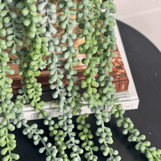 String of Pearls Hanging Bush Grey Green 70cmL | Evergreen Walls