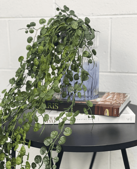 Fern Button Hanging Bush 86cmL