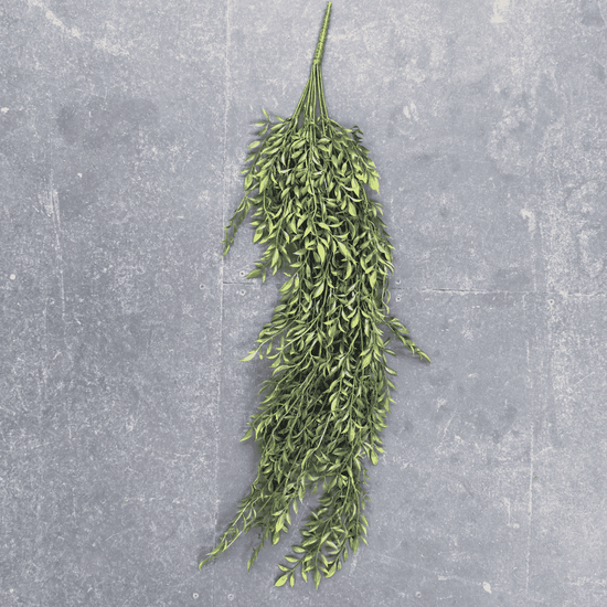 Ferns Hanging Bush 110cml (UV) | Evergreen Walls