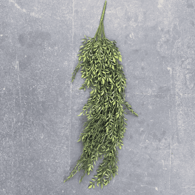 Ferns Hanging Bush 110cml (UV) | Evergreen Walls