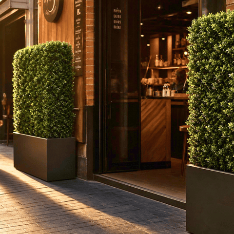 Freestanding Hedge Divider | Evergreen Walls