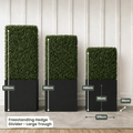 Freestanding Hedge Divider | Evergreen Walls