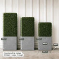 Freestanding Hedge Divider | Evergreen Walls