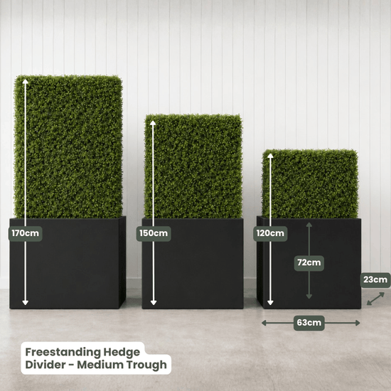Freestanding Hedge Divider | Evergreen Walls