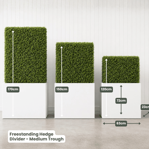 Freestanding Hedge Divider | Evergreen Walls