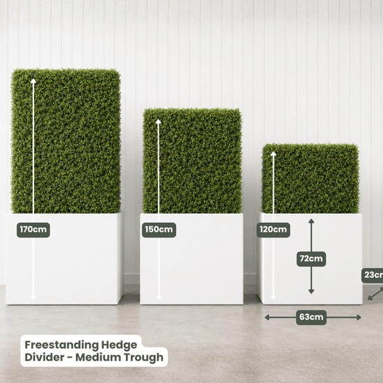 Freestanding Hedge Divider | Evergreen Walls