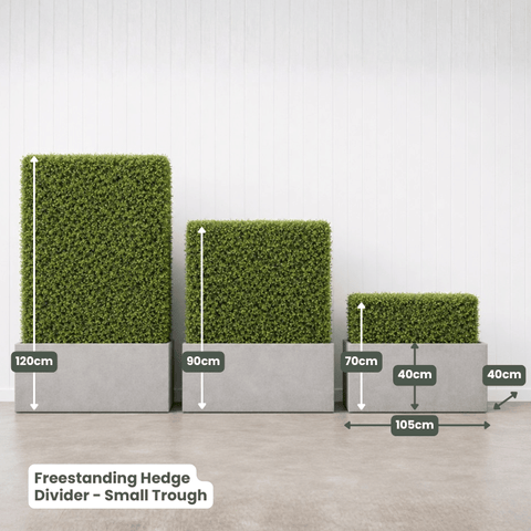 Freestanding Hedge Divider | Evergreen Walls