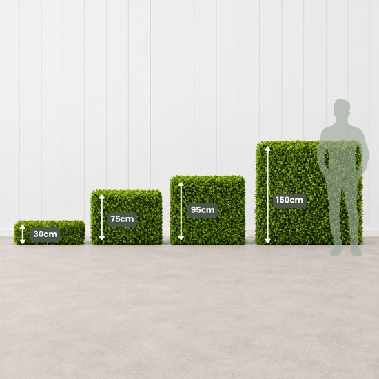 Signature Freestanding Boxwood Hedge