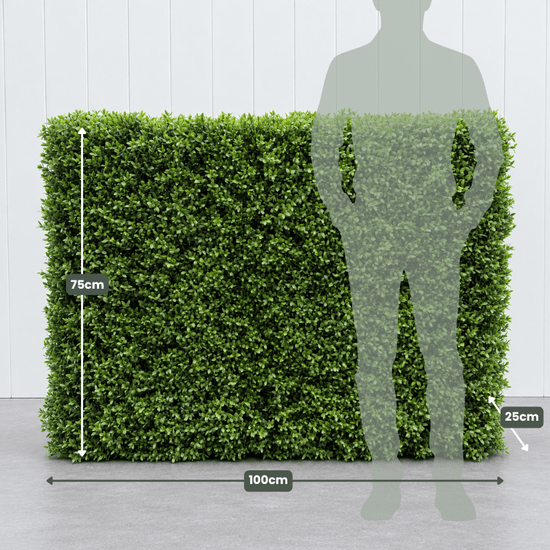 Signature Freestanding Boxwood Hedge