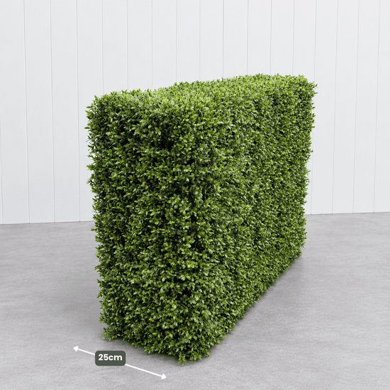 Signature Freestanding Boxwood Hedge