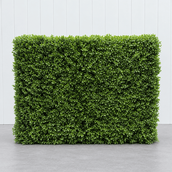 Signature Freestanding Boxwood Hedge