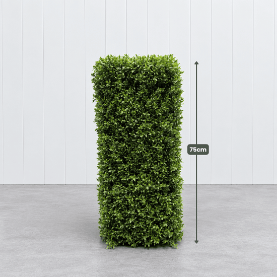 Signature Freestanding Boxwood Hedge