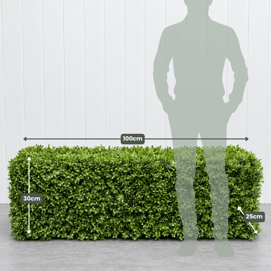 Signature Freestanding Boxwood Hedge