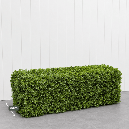 Signature Freestanding Boxwood Hedge