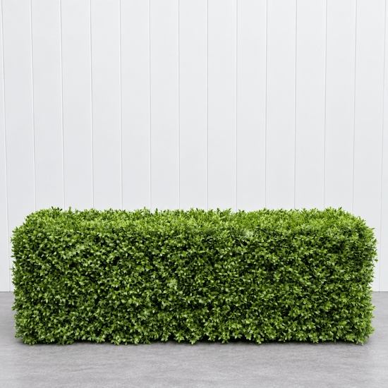 Signature Freestanding Boxwood Hedge