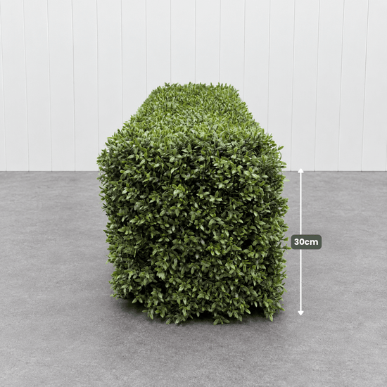 Signature Freestanding Boxwood Hedge