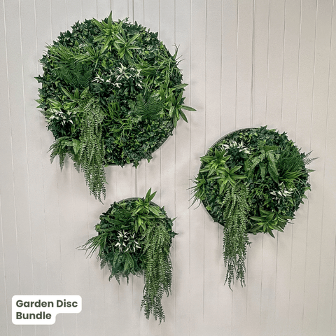 Evergreen Signature Disc Collection | Evergreen Walls