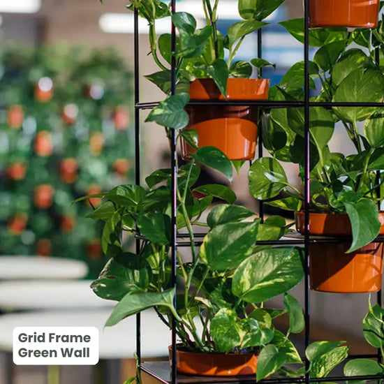 Grid Frame Green Wall - Room Divider