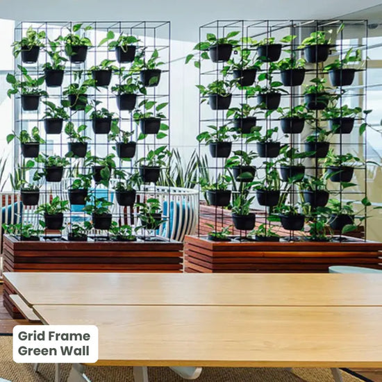 Grid Frame Green Wall - Room Divider