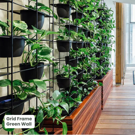 Grid Frame Green Wall - Room Divider
