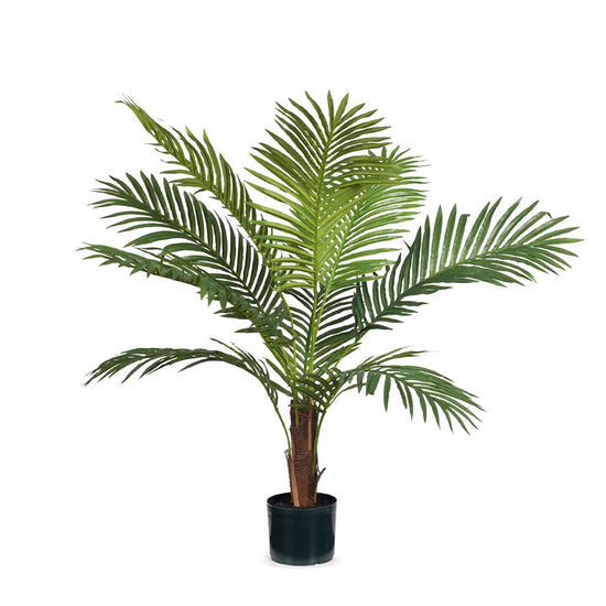 Kentia Palm Tree | Evergreen Walls