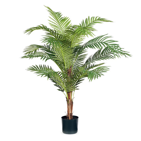 Kentia Palm Tree | Evergreen Walls