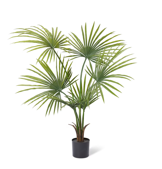 Kwai Palm UV | Evergreen Walls