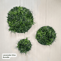 Evergreen Signature Disc Collection | Evergreen Walls