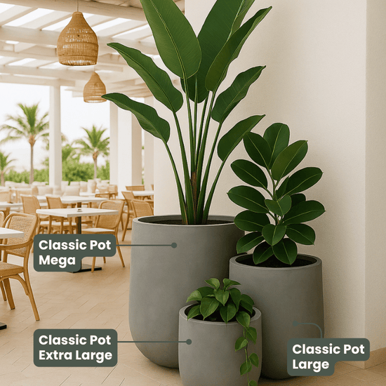 Lightweight Classic Pot | Grey | Evergreen Walls