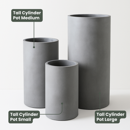 Lightweight Tall Cylinder Pot | Grey | Evergreen Walls