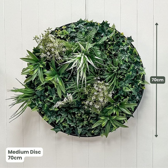 Evergreen Signature Disc Collection | Evergreen Walls