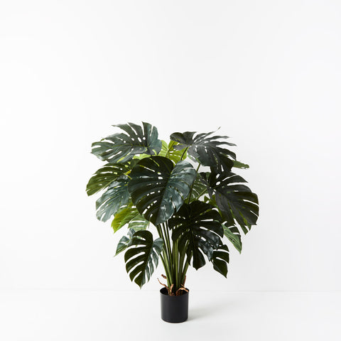 Monstera Plant Green 120cmH