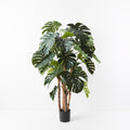 Monstera Plant Green 165cm H