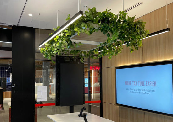NAB - Karrinyup, Western Australia