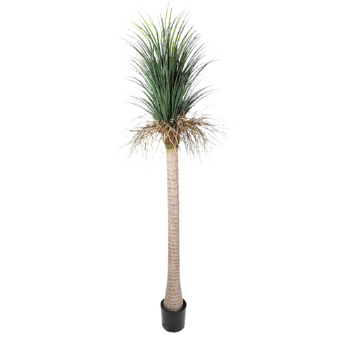 Grass Yucca Tree (UV)