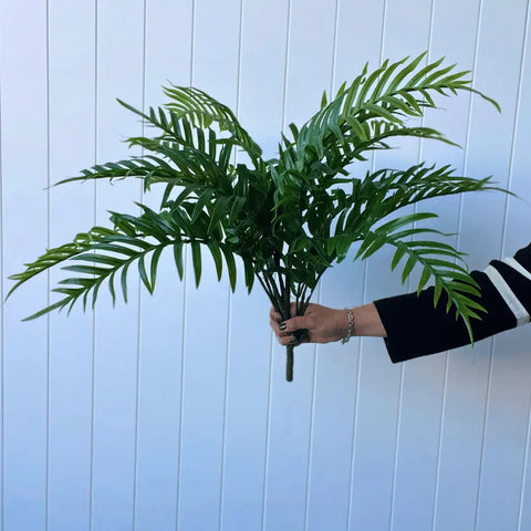 Palm Areca Bush 70cmH