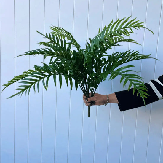 Palm Areca Bush 70cmH | Evergreen Walls