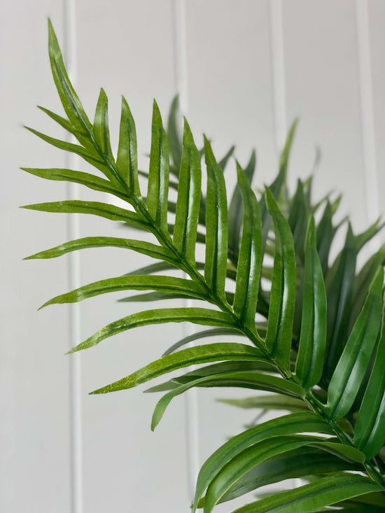 Palm Areca Bush 70cmH | Evergreen Walls
