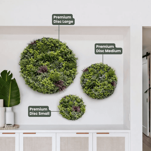 Evergreen Premium Discs