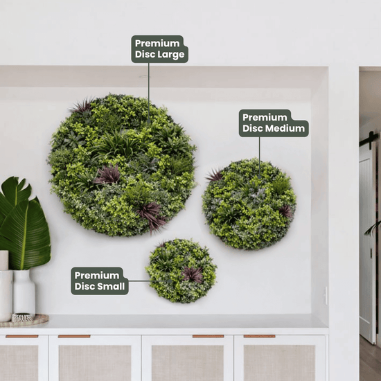 Evergreen Premium Discs | Evergreen Walls