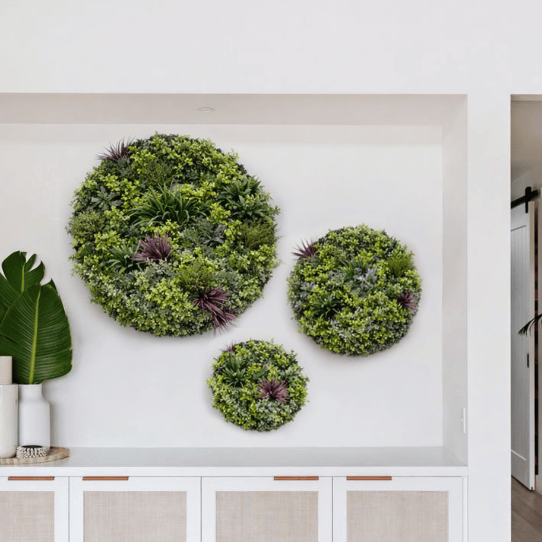 Evergreen Premium Discs | Evergreen Walls