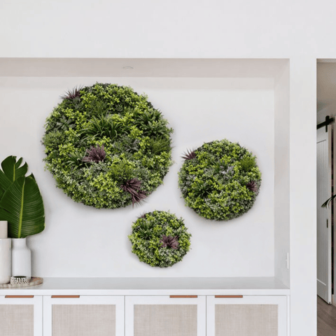 Evergreen Premium Discs