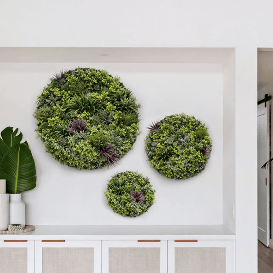 Evergreen Premium Discs | Evergreen Walls