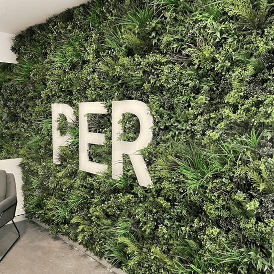 Evergreen Premium | Evergreen Walls